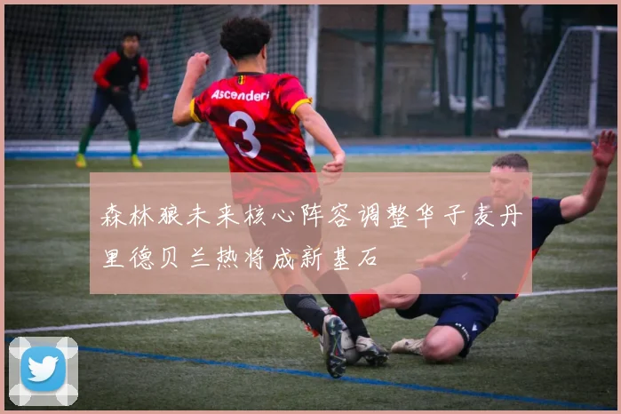 森林狼未来核心阵容调整华子麦丹里德贝兰热将成新基石