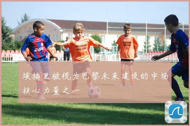 埃梅里被视为巴黎未来建设的中场核心力量之一