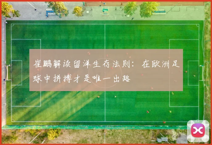 崔鹏解读留洋生存法则：在欧洲足球中拼搏才是唯一出路