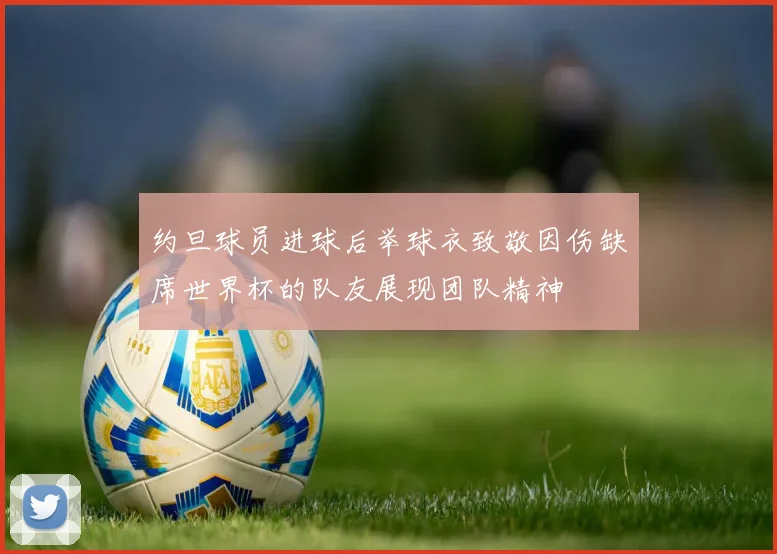 约旦球员进球后举球衣致敬因伤缺席世界杯的队友展现团队精神